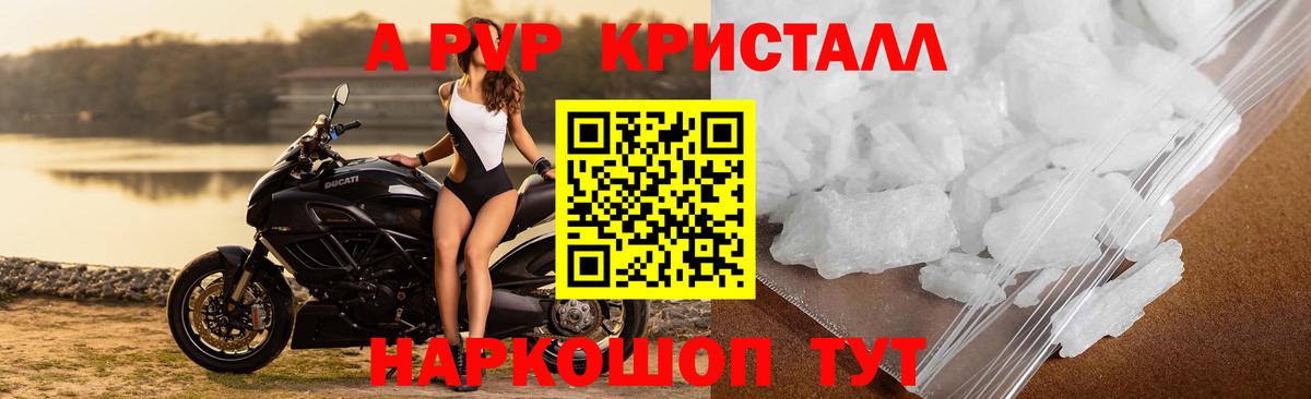 A-PVP СК КРИС Обь